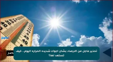 تحذير عاجل من الأرصاد بشأن أجواء شديدة الحرارة اليوم.. كيف تستعد لها؟